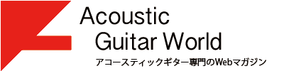 Acoustic Guitar World